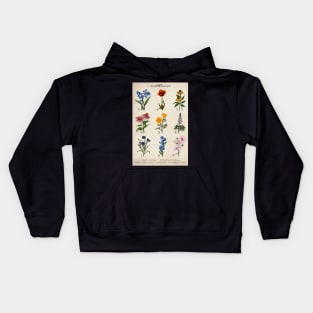 Vintage Floral Wildflower Illustrations Kids Hoodie